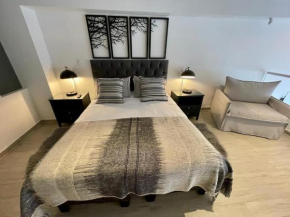 HOM I Loft con Jardín Nuevo mejor proyecto de Valparaíso